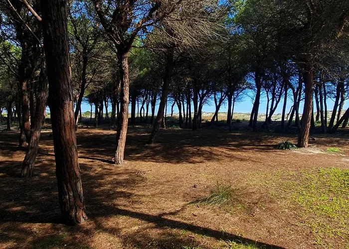 Muriska- * サンタ・ルチア