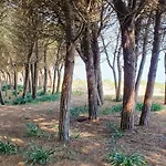 Holiday home Muriska- *