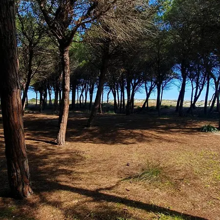 Costa Est - * Santa Lucia (Sardinia)